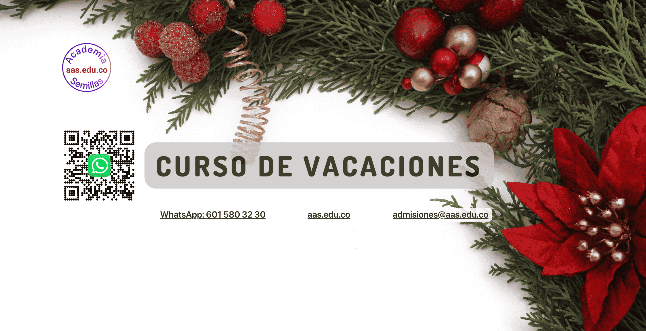 Curso vacacional para niños en Bogotá